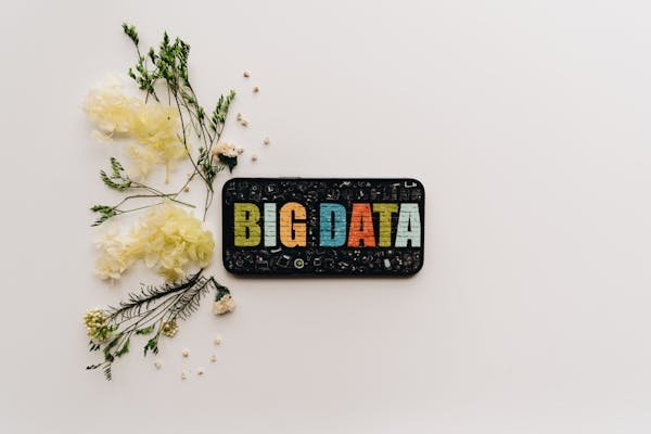 Big Data